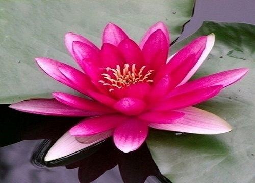 种植心得：耐心等待，静待花开