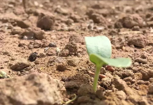 温度，这个神秘的杀手