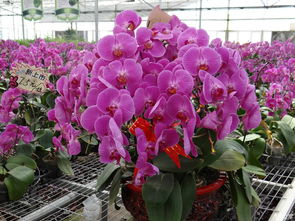 夏天高温，要通风