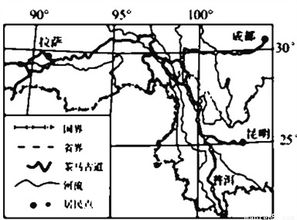 亚麻的生长过程