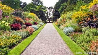 植物配置的注意事项