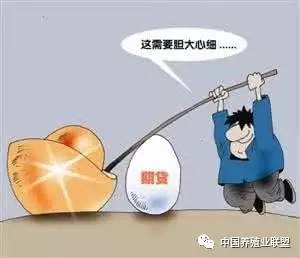 鸡蛋期货大鳄原是吹牛，揭秘期货市场幕后黑手