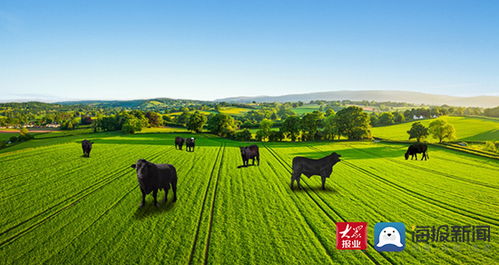 盐碱地里的草， 名字虽不起眼，作用却不小