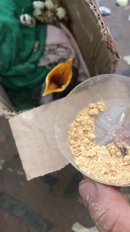 五十斤小猪能长期只喂玉米粉、黄豆粉和饲料吗？