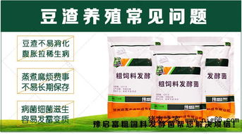 使用饲料发酵乳酸菌真的能节省30%成本吗？如何避免误区？