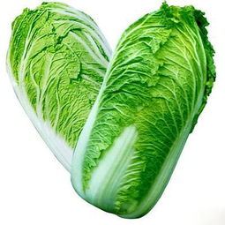 大白菜，冬天里的“守护神”