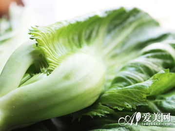 持续防治，健康生长