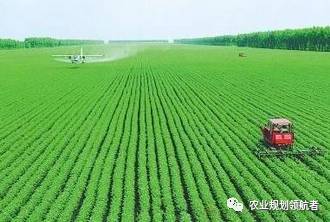 中央财政10亿元扶持，花卉产业迎来秸秆综合利用新机遇！