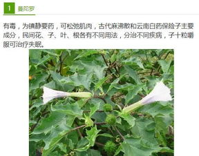 药物控制有点难