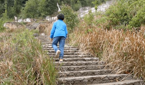 如何安全养殖见血封喉，家庭种植毒木需要注意哪些安全要点