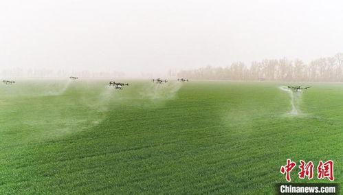 关键时刻的救星