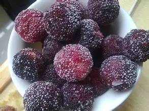 杨梅种子的种植方法