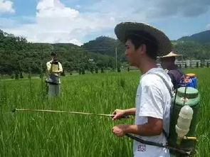 地里打农药Neng飘几米？对周围环境有影响吗？