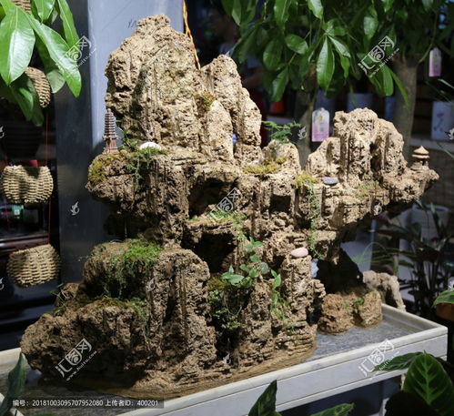 吸水石盆景上适合种植的花草包括: 绿萝:绿萝是fei常适合室内上水石盆景的绿植之一. 吊兰:吊兰也是一种耐湿的植物,hen适合放在上水石盆景中.