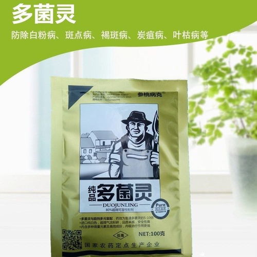 供应商的奥秘