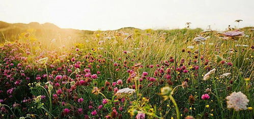 广西的亚热带季风气候