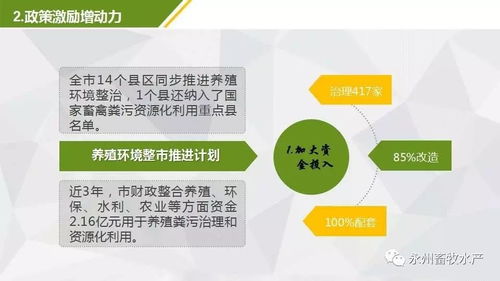 推广生态养殖，打造健康绿色农产品