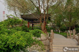 北京花卉大观园的花海盛宴