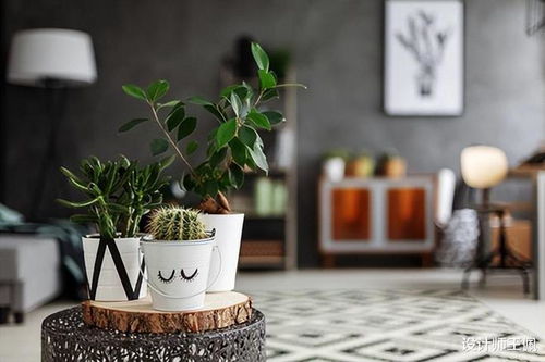 禁忌警报——北方干燥带