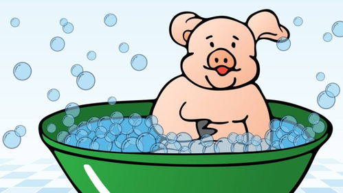 如何掌握猪的7个小，轻松降本增效？