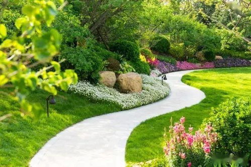 五、翠竹：坚韧挺拔，高洁无瑕