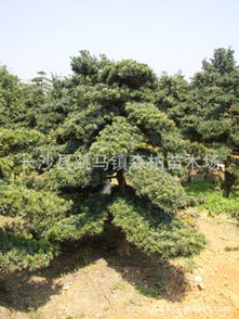 温度管理不可忽视