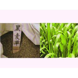 梅雨季播种， 教训要牢记