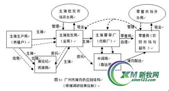 近期猪肉价格波动大，请问哪些因素对猪价上涨起到关键作用？