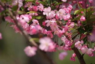 “春季播种，葫芦花开正当时！”