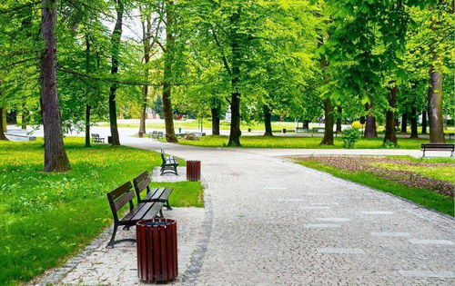 为什么你的水塘总像