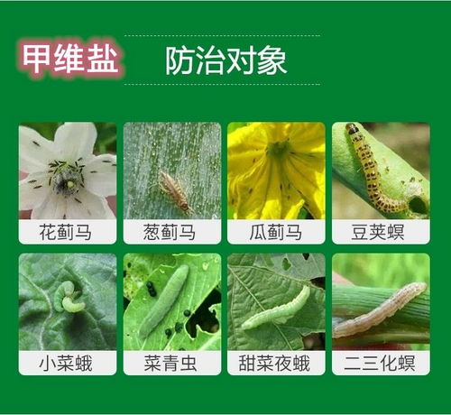 甲维盐：它到底是个啥东西？
