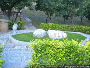 第一步：下载中国园林网官网