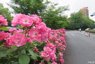 新手小白别急着挑战高难度