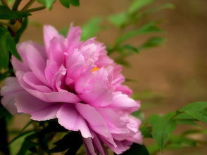 阳光充足，温度适宜