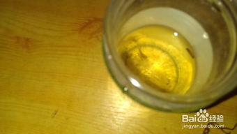 白雪公主植物的概况