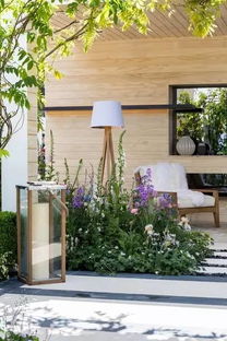 专业绿植租赁与花卉出租