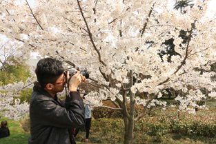 用心观察， 感悟生命