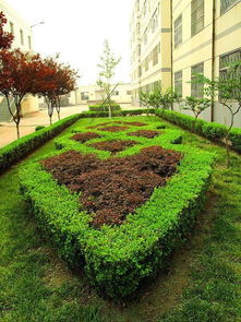 深圳深卉绿化施工团队：园林绿化的护理专家