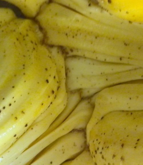菠萝蜜肉怎么做？试试这个网红新吃法