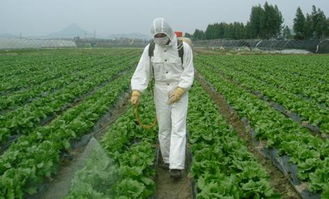 西宁爱农植保服务有限公司：农林机械的搬运工