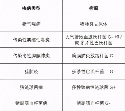 优化养殖环境，降低圈舍湿度