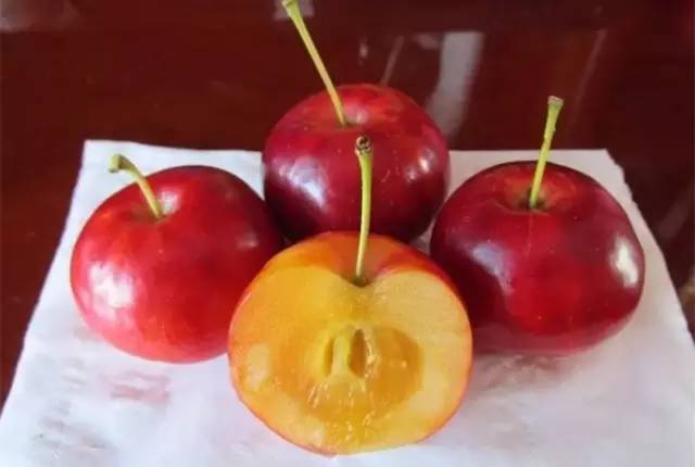 扬州市烹饪协会的数据，带你了解海棠卷的蓬松秘诀