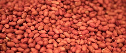 钼肥的使用技巧