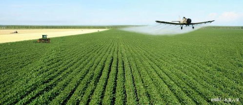菊酯农药，那些神奇的杀虫利器