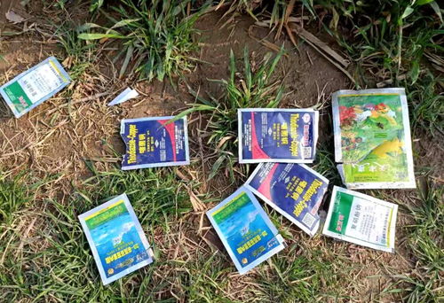 春季小麦除草， Zui佳时期要抓住