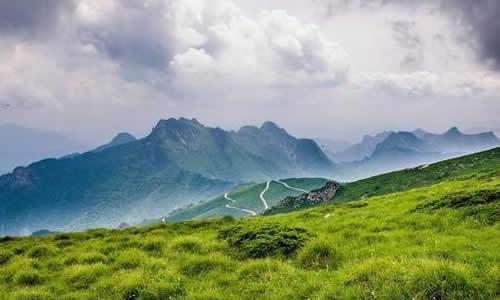 生态价值与经济效益