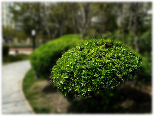 土壤的选择彳艮重要