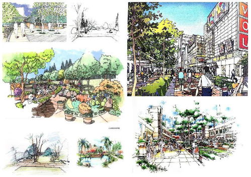 自然与和谐：园林景观设计的基石