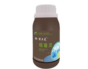 苗根腐烂的烦恼，试试这三招急救法！