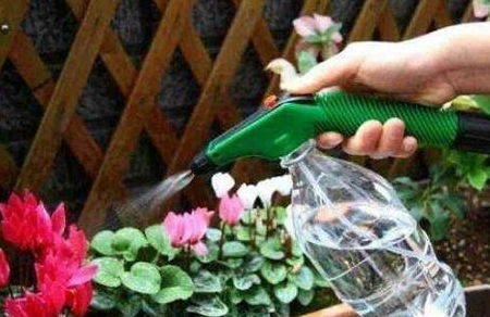 养花的好处：赏心悦目， 陶冶情操